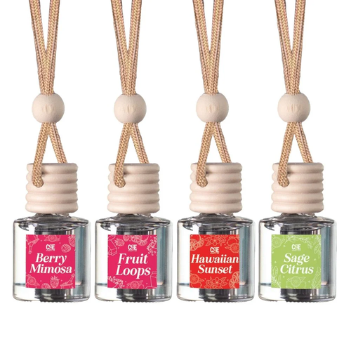 Clean 4 Pack Scented Car Fresheners Bundle