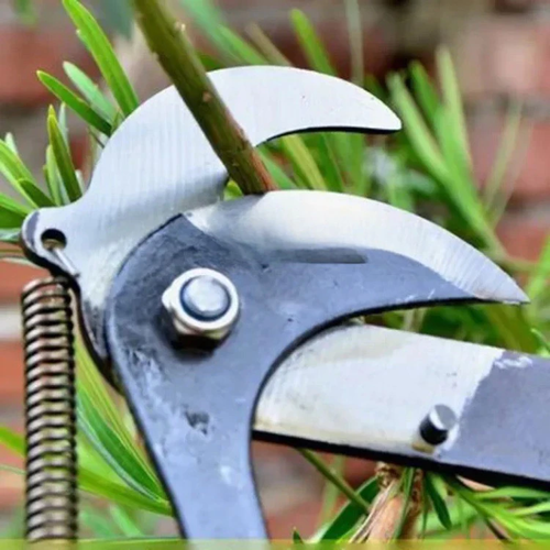 High Branch Pruning Shears