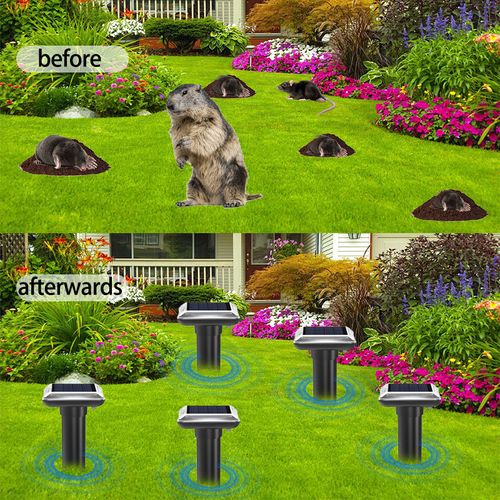 Solar Mouse Repellent, Buzzing Vibration Plug and Play Ultrasonic Mouse Repellent, Outdoor Snake Repellent
