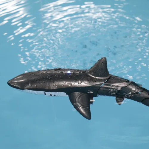 Smart Rc Remote Controlled Shark Charging Bionic Electric Motor Fish Simulation Rocking Fish