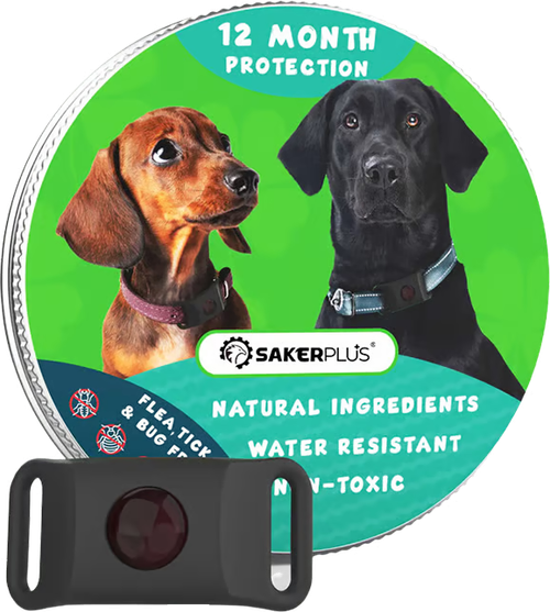 Pet flea and tick rings effectively prevent flea and insect bites.