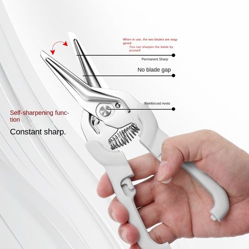 Magnetic kitchen scissors