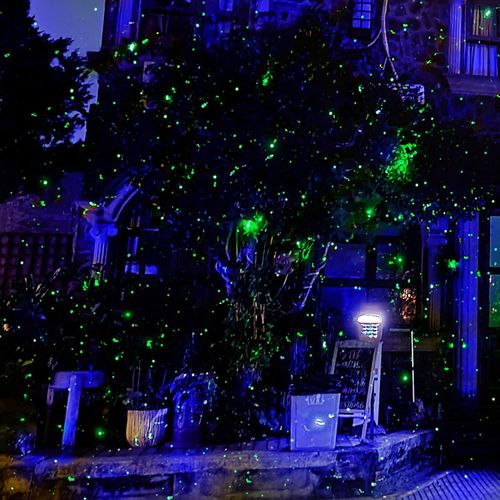 Firefly-shaped garden lights, solar-powered, for outdoor use.