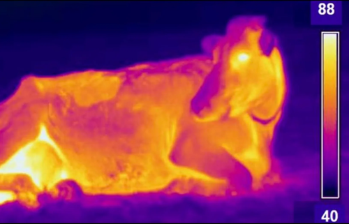 Telescope thermal imaging monocular night vision equipment