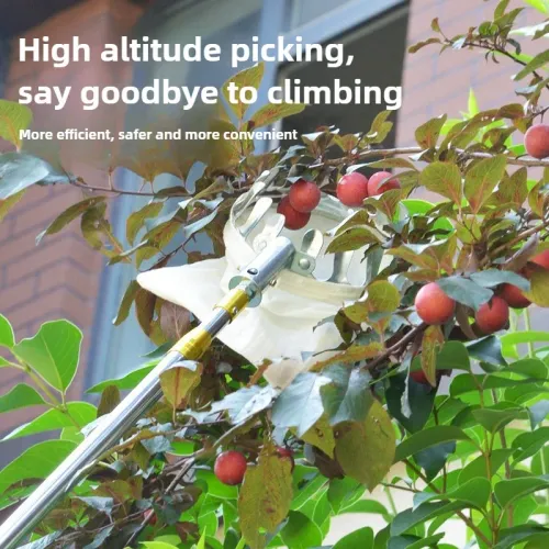 Fruit picker with telescopic pole for reaching high branches.