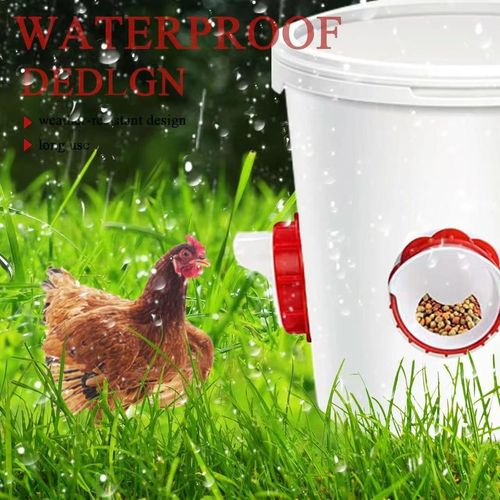 5Pcs-9Pcs Chicken Feeder DIY Rainproof Poultry Feeder Port Reduce Spillage Food Farm Chicken Duck Food Troughs Opener Tool