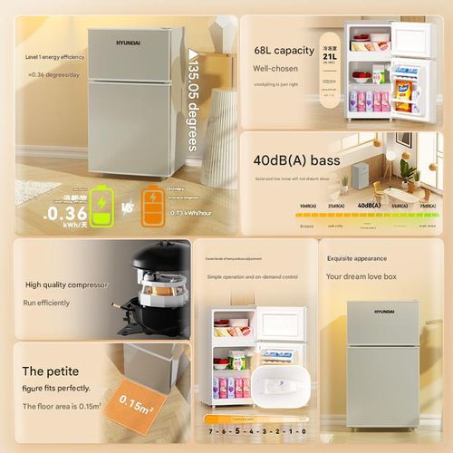 Small refrigerators are energy-saving and have a first level energy efficiency