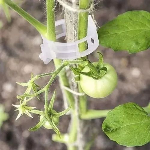 2026 Best-Seller: Pack of 100 Plant Support Clips for Securing Vines and Stems