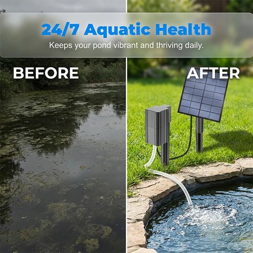 Solar-Powered Pond Aerator—solar-driven, no wiring required. It boosts oxygen levels for fish and aquatic plants, purifies the water, and brings your pond to life!