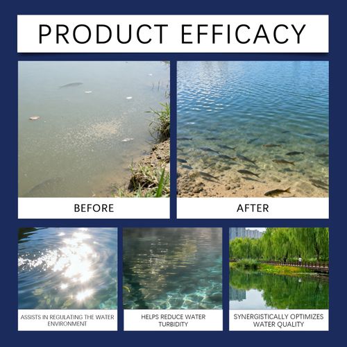 Water Clarifier — Eliminates water cloudiness within minutes harmless to fish — Suitable for freshwater and saltwater environments 🐠