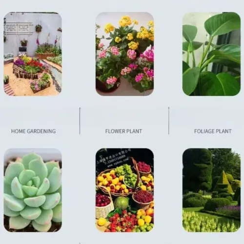 Soil Activator Organic Improvement Thinning Soil Essence Fertilizer Gardening Potted Plants Flowers Growing Nutrient Solution