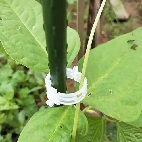 2026 Best-Seller: Pack of 100 Plant Support Clips for Securing Vines and Stems