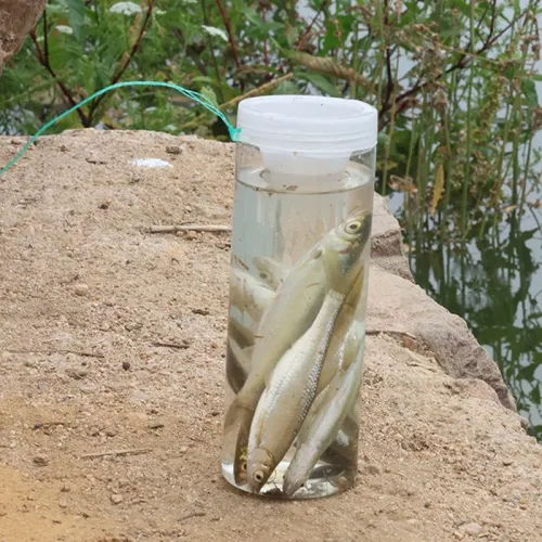 Durable Catch Fish Bottle Lightweight Plastic Fish Cage Small Fish Loach Trap Reusable  Fishing Bottle Fishing Tool