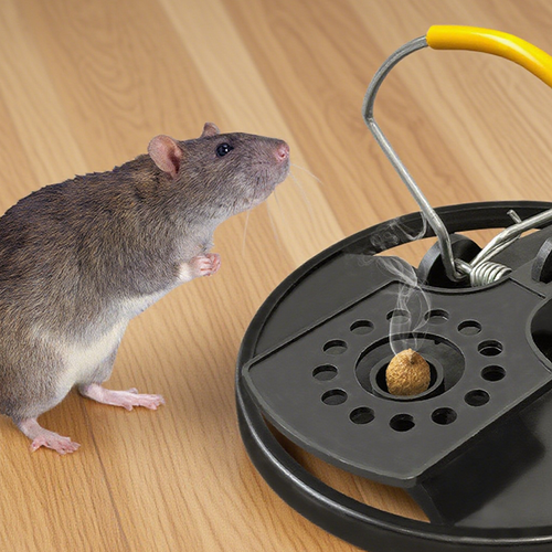 5PCS Heavy-Duty Effective Mouse Trap for Home