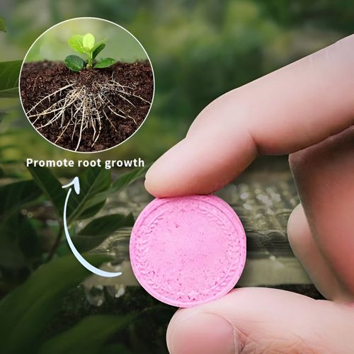 Organic long-lasting fertilizer in tablet form