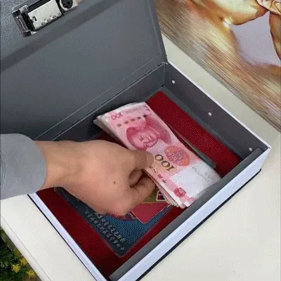 ⏰Secret Book Safe Box🔒💵