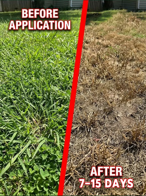 Flash Sale⚡ 50K+ SOLD! Almost Gone-🔥Herbicide and root rot control agent 200g