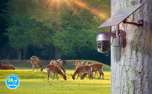 4K Solar HD Camera System