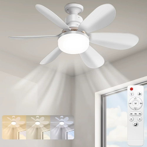 Remote-controlled ceiling fan with light