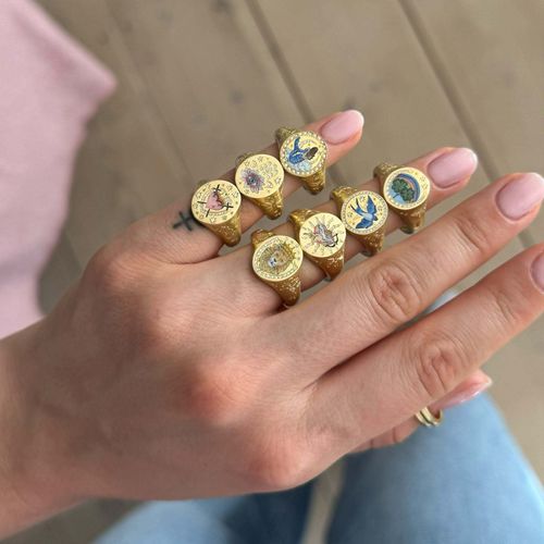 The Poetry of Sculpted Rings