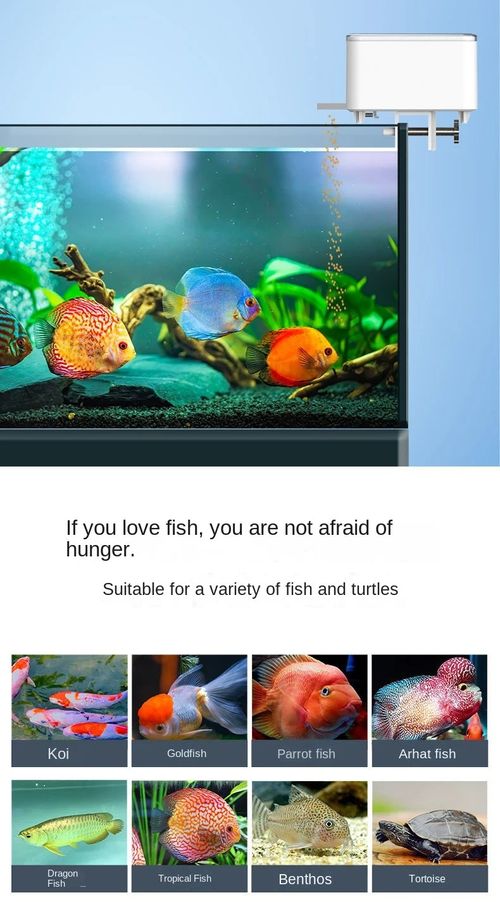 Large Capacity Automatic Fish Feeder Does Not Block the Fish Tank Automatic Remote Intelligent Timing Feeder Turtle Feeding Tool