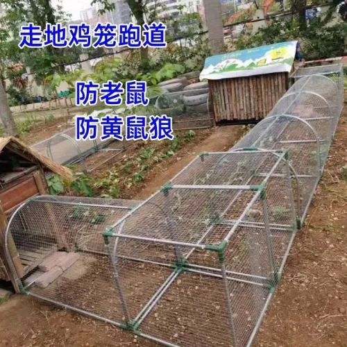 Take the subway network chicken cage runway chicken tunnel cage farm outdoor stroll chicken cage courtyard farmers free-range