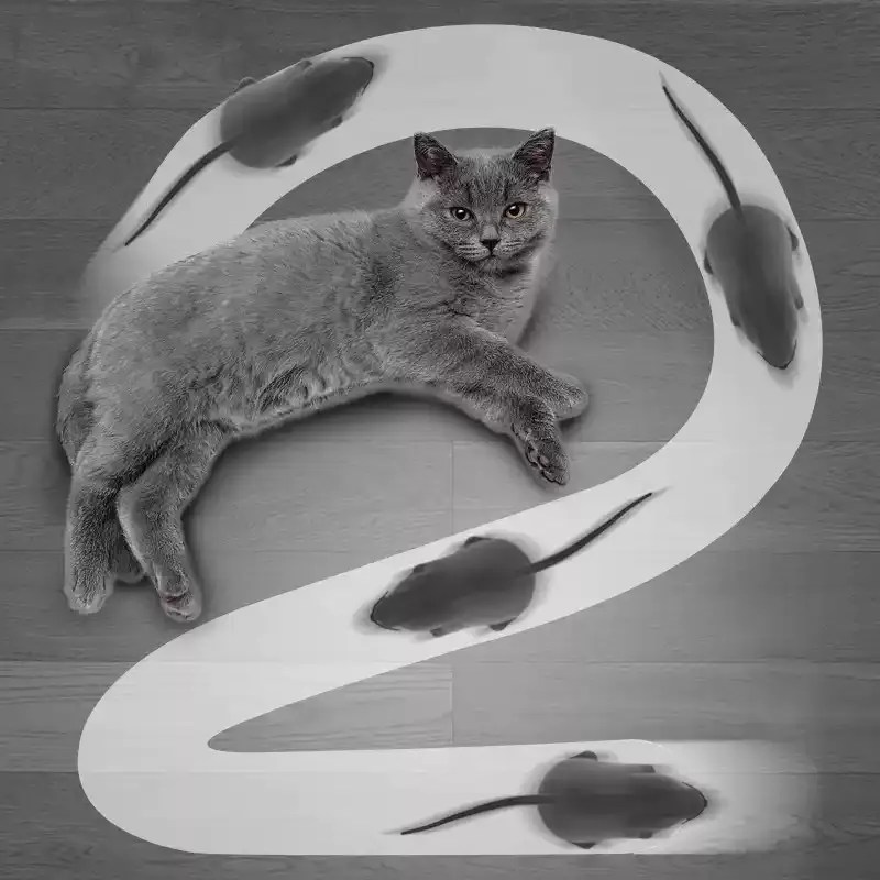 Electric Mouse Cat Toy