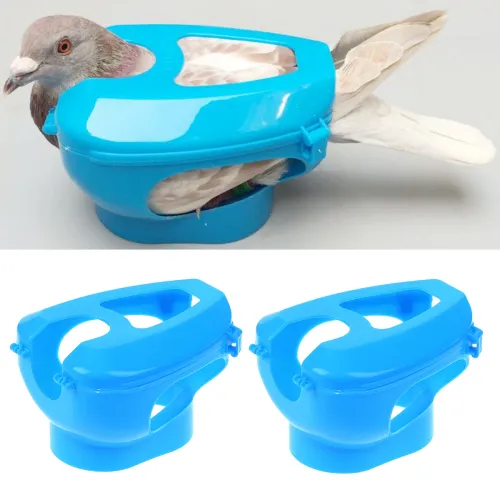 Pigeon Fixed Frame Rack For Feeding Giving Medicine Injection Vaccination Measuring Size Wearing Foot Rings Bird Supplies