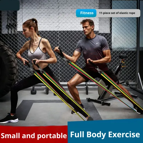 Resistance Bands With Handles Beginner fitness program using a resistance band at home
