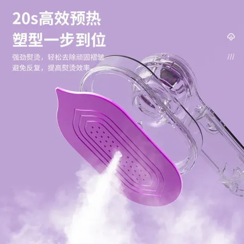 Steamer Ironing Machine Travel