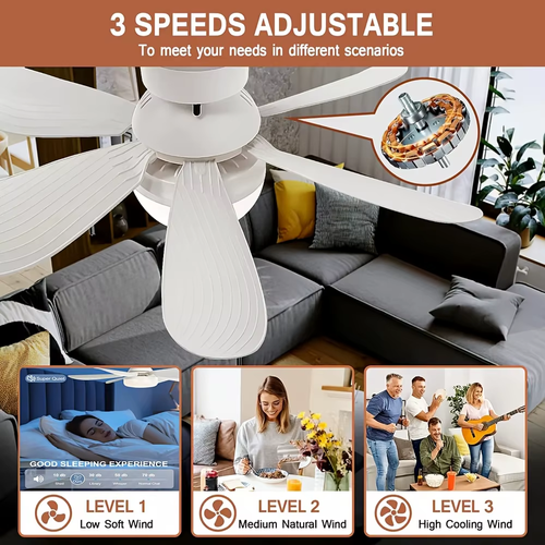 Remote-controlled ceiling fan with light