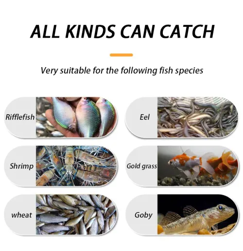 Durable Catch Fish Bottle Lightweight Plastic Fish Cage Small Fish Loach Trap Reusable  Fishing Bottle Fishing Tool