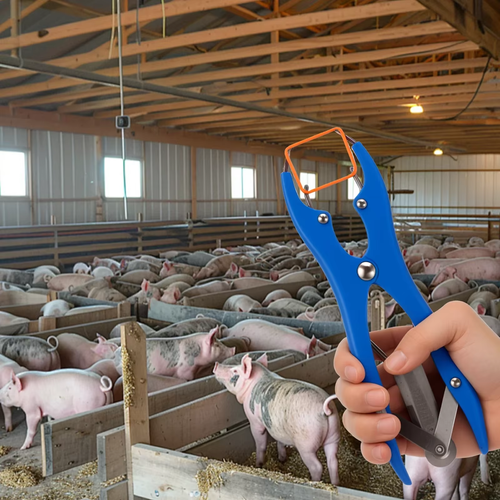 Animal Castration Elastrator Ergonomic Grip Animal Filling Pliers Tool With 100 High Elastic Band for Goat Sheep Calf Lamb Piglet