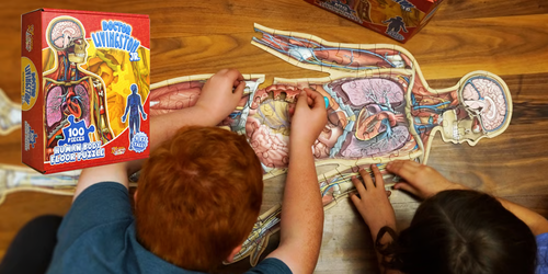 1set Human Anatomy Puzzle for Kids