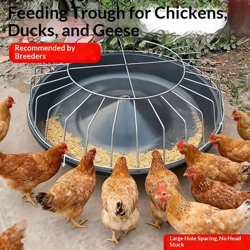 2PCS High Capacity Circular Chicken Feeder 24 Holes for Small Farm Backyard Poultry Daily Care Use
