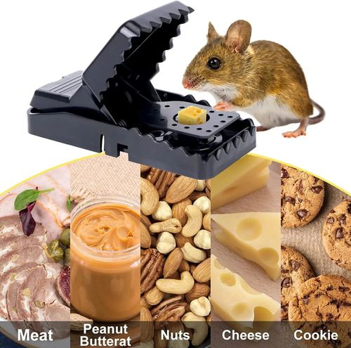 REUSABLE ULTIMATRAT TRAP! PREVENT YOUR FAMILY FROM CONTRACTING UNSEEN DISEAESES. BUY ONE, GET ONE FREE