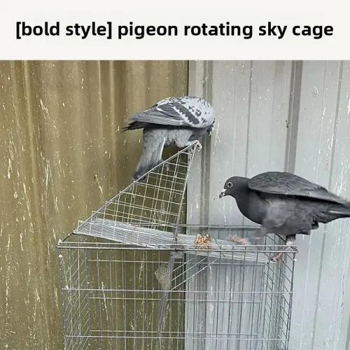 Automatic continuous entry into the birdcage, encrypted with coarse rust prevention, only able to enter and not exit the pigeon cage
