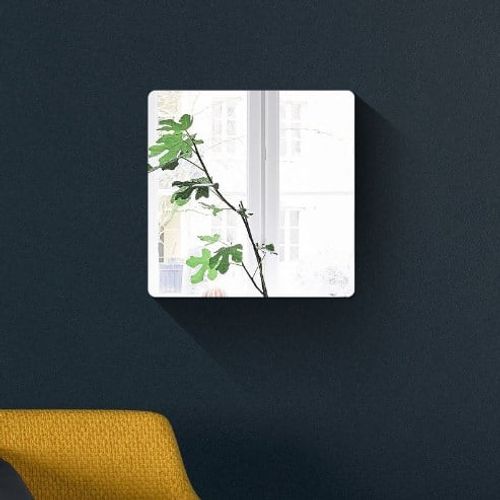 Acrylic Wall Mirrors