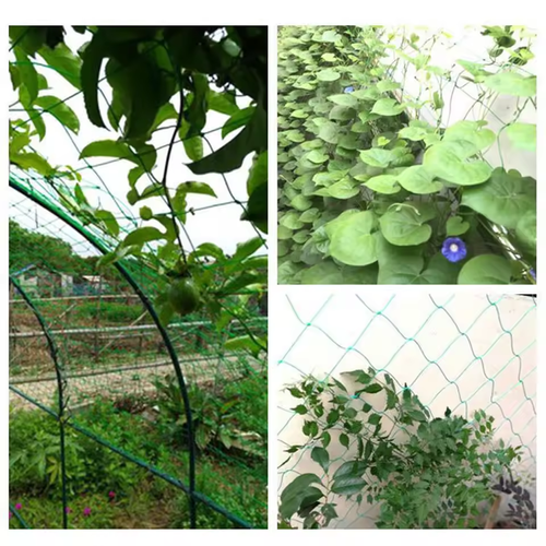 Garden Trellis Netting Plant Climbing Net