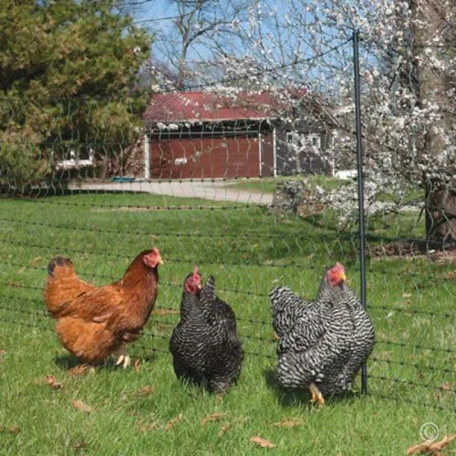 20m*3m Orchard Anti Hail Net Fish Pond Anti Bird Net Goji Berry Cherry Grape Net Greenhouse Hail Net Locust and Debris Protection