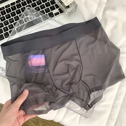 2-pack of ultra-thin ice silk men's boxer briefs