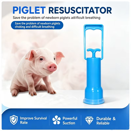 2pcs Piglet Resuscitator Newborn Pig Aspirator Pump Livestock Pig Farm Breeding Tool for Suckling Pig Mucus & Amniotic Fluid Suction