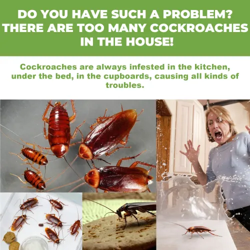 Quick Roach Bait Killer Station Natural Insect Repellent Strong Cleaning Lasting Effect Easy to Use Cockroach Repellent Sticker