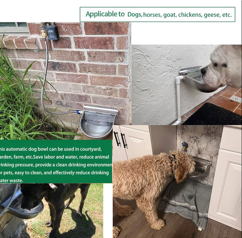 Stainless Steel Automatic Water Dispenser for Dogs - Farm Livestock Cattle Horse Goat Sheep Drinking Bowl（1kg Stainless Steel Water Bowl with Holes + 80cm Stainless Steel Water Pipe）