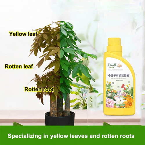 Universal Plant Nutrient Solution