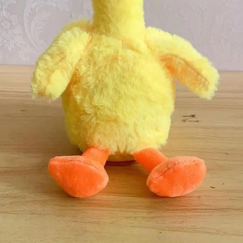 Swinging duck toy, social conversation, singing