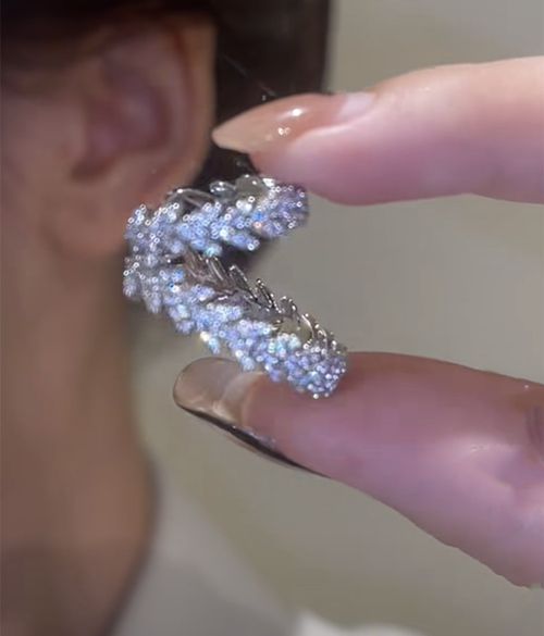 A pair Full zircon leaf double-layer ear bone clip light luxury zircon no ear piercing design earrings ear clip earrings