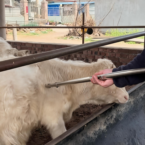 1.4m Anti-Kick Telescopic Syringe with Long Handle for Vaccinating Cattle, Horses, Pigs, and Sheep (Includes 20 Needles)