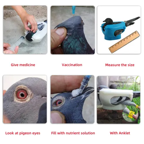Pigeon Fixed Frame Rack For Feeding Giving Medicine Injection Vaccination Measuring Size Wearing Foot Rings Bird Supplies