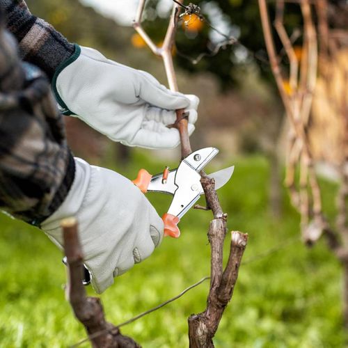 Heavy-Duty SK5 Steel Pruning Shears